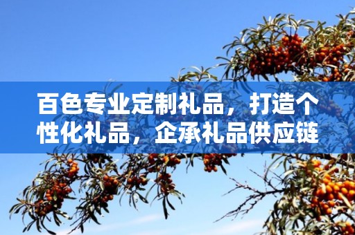 百色专业定制礼品，打造个性化礼品，企承礼品供应链卓越服务