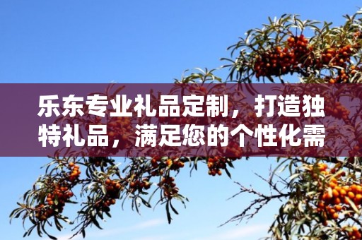 乐东专业礼品定制，打造独特礼品，满足您的个性化需求