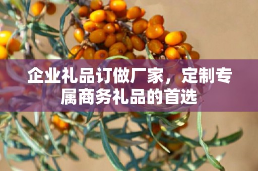 企业礼品订做厂家，定制专属商务礼品的首选